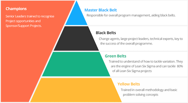 e-Six Sigma : Courses | Six Sigma Yellow Belt, Six Sigma Green Belt, Six Sigma Black Belt ...